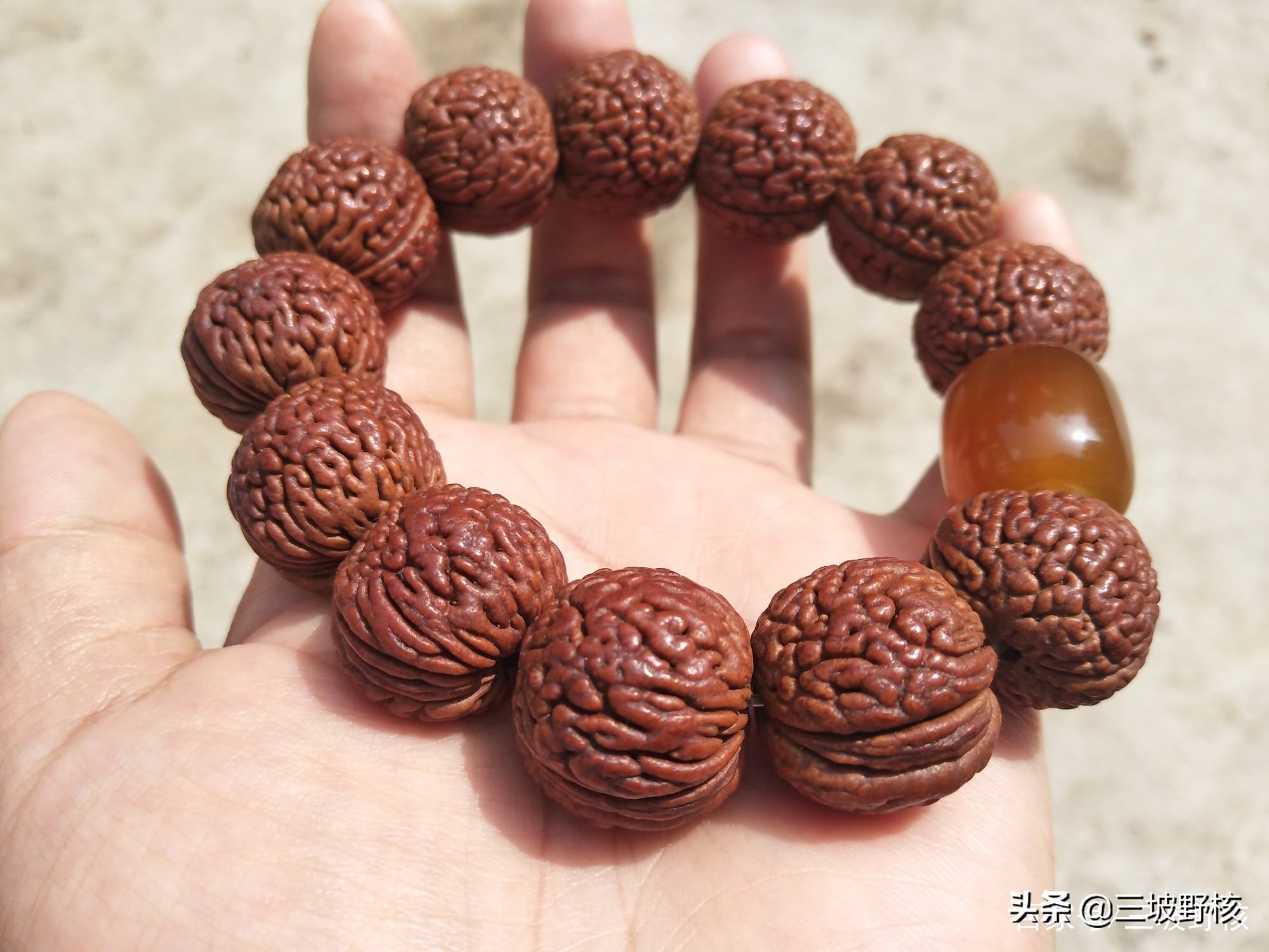 蚂蚁纹西瓜纹火焰纹,桃核蚂蚁纹和荔枝纹的区别