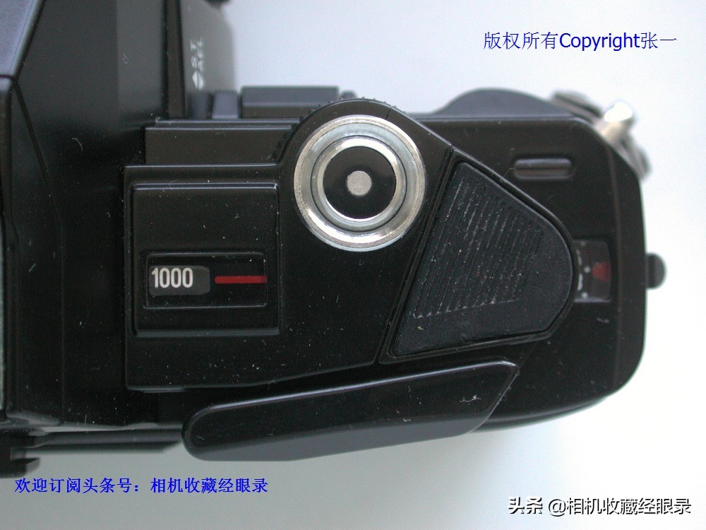 海鸥seagull相机,上海海鸥照相机所有型号序列号