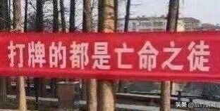 青眼白龙金卡片为什么那么贵,青眼白龙黄金卡图片