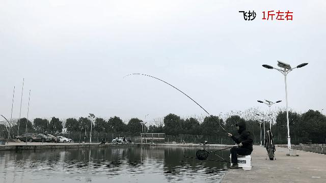 黑坑最好用的鱼竿,哪个品牌的鱼竿钓黑坑