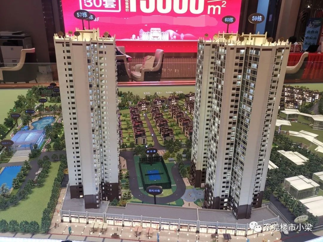 东莞市碧桂园玫瑰臻园,疫情后楼盘首开