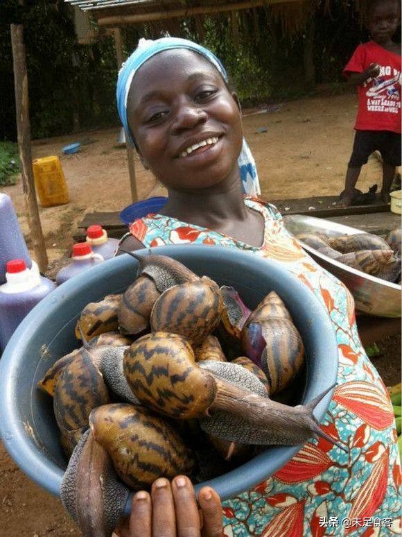 舌尖上的非洲2：什么都吃的国人却不敢吃它——“非洲大蜗牛”