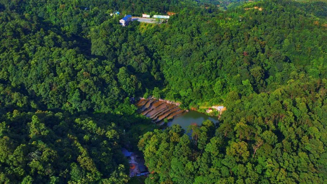 你好，我叫厦门，这是我的简历