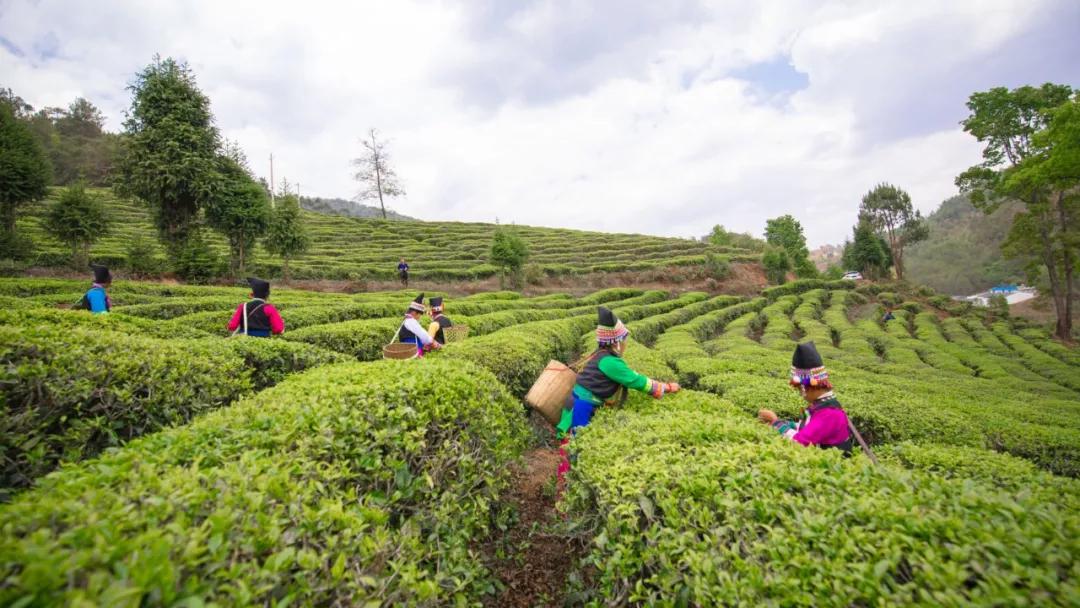 这是一个生机勃勃的地方关于它的故事才刚刚开始
