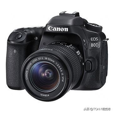 尼康佳能新手相机推荐,佳能和尼康入门级单反推荐