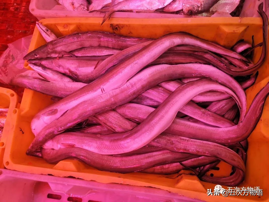 青岛菜市场分布图,青岛海鲜市场价格表今日