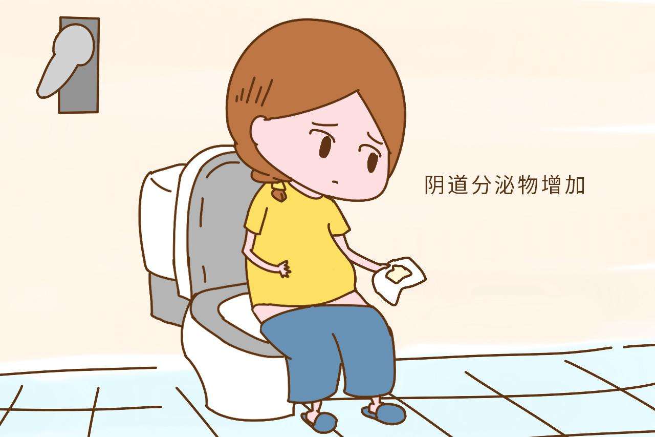 备孕请注意！女性身体出现6个特征，说明排卵期到了，要把握时机