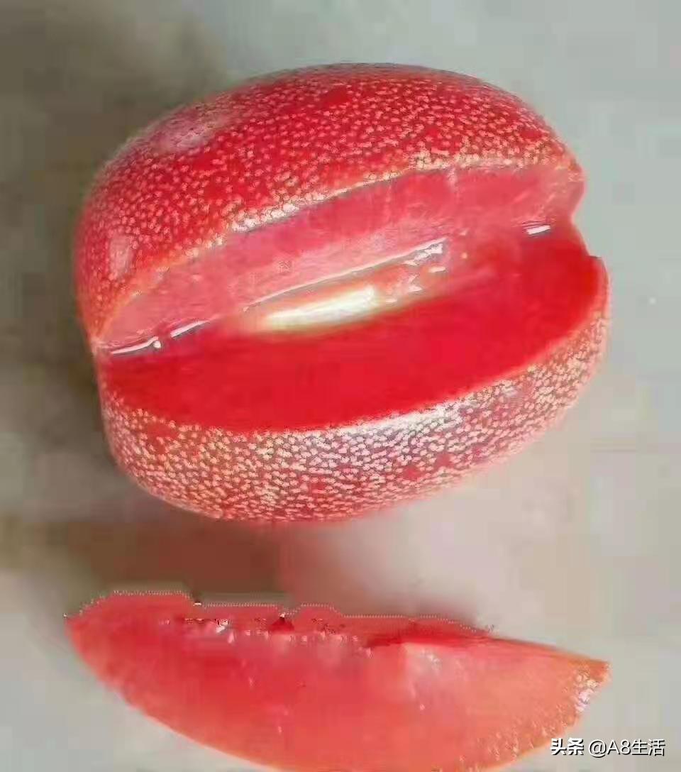 种羊奶果的前景,羊奶果种植基地在哪