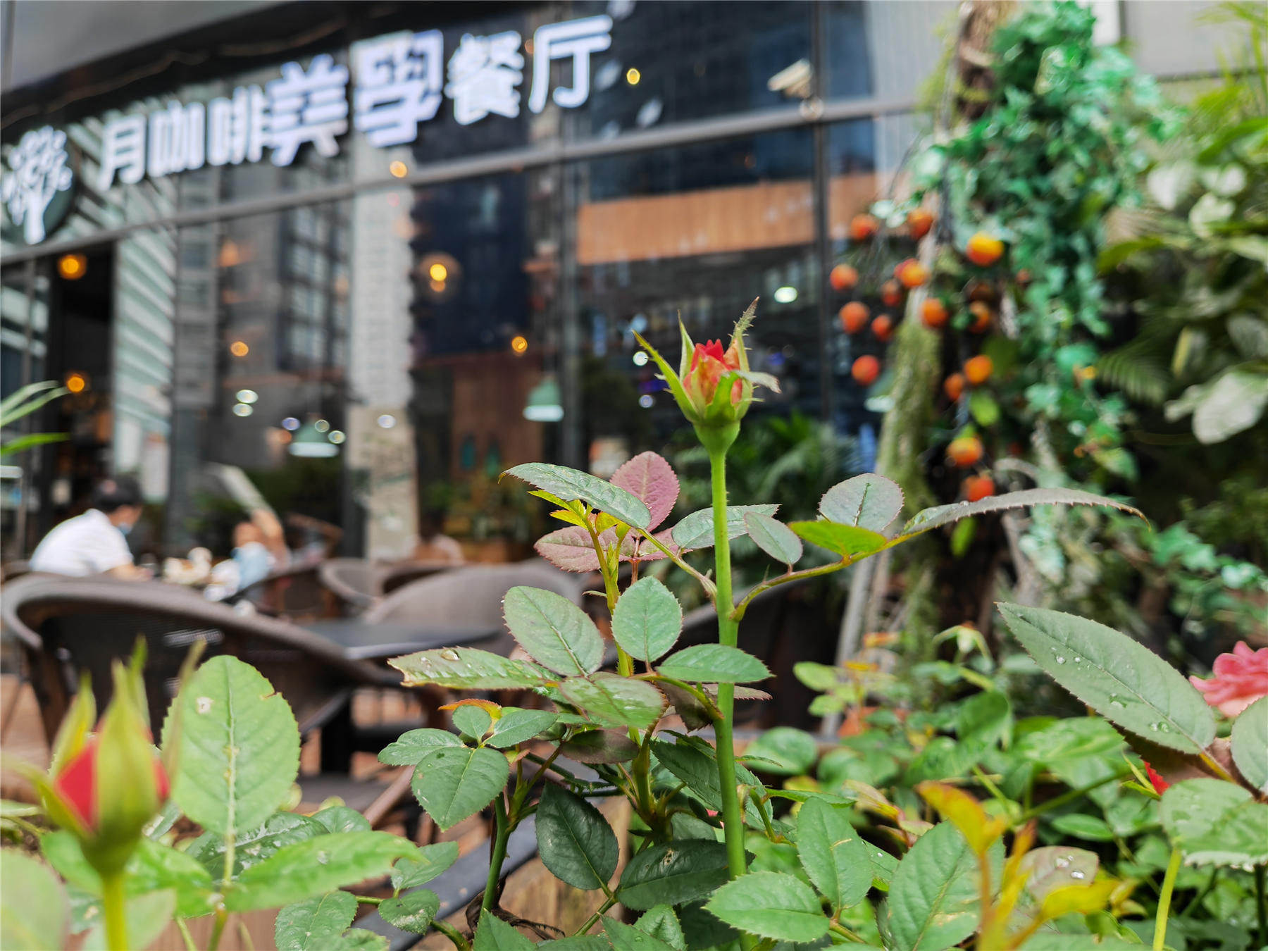 光荣magic3pro变焦拍摄视频,光荣magic3pro100倍变焦