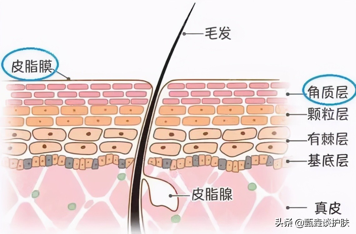 皮肤水油失衡毛孔堵塞该怎么办,皮肤出油毛孔堵塞严重屏障受损