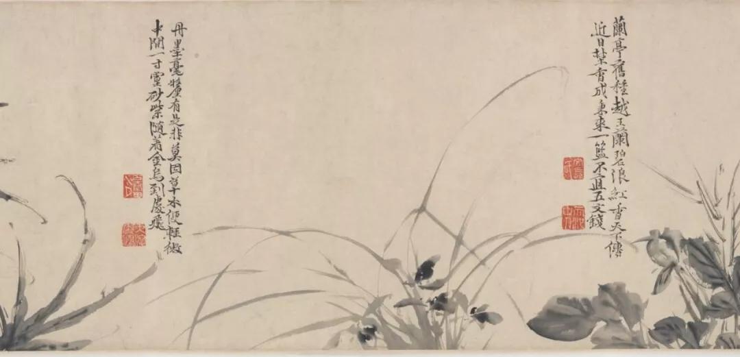 国画兰花加花瓶作品欣赏图片,五幅古代名家笔下的国画兰花欣赏