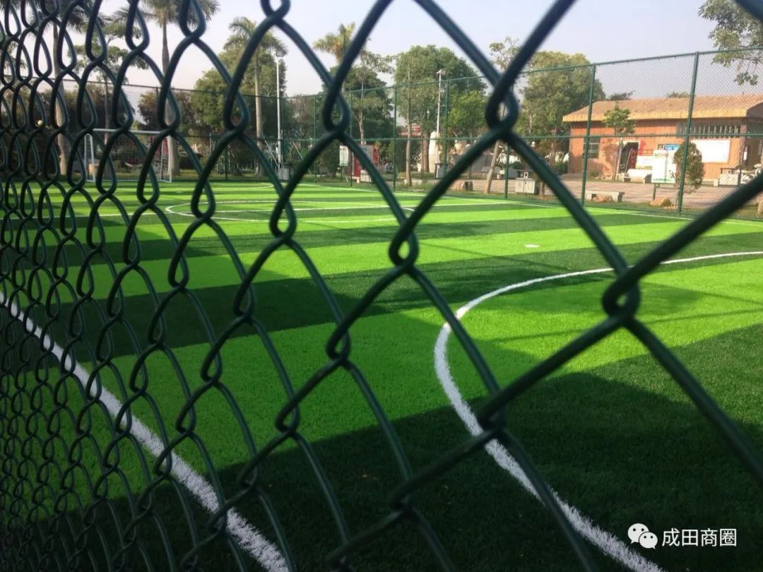 成田文化体育公园,成田镇体育馆