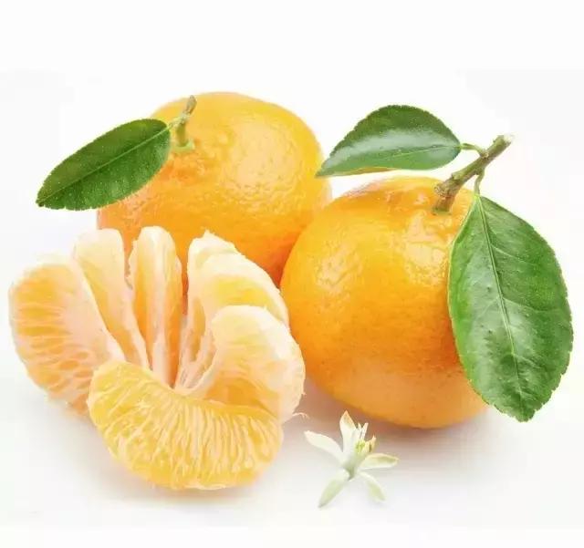 画水果用蜡笔画的简笔画立体,秋天成熟的水果有哪些简笔画