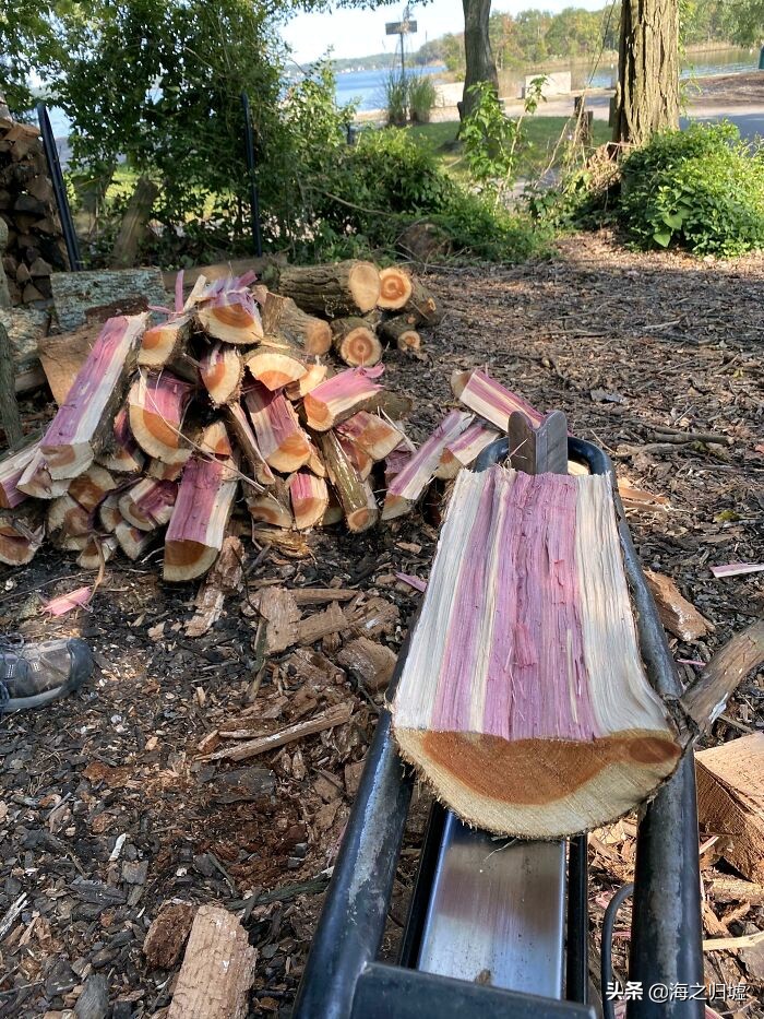 最神奇的头发图片,最美变色头发女孩照片大全
