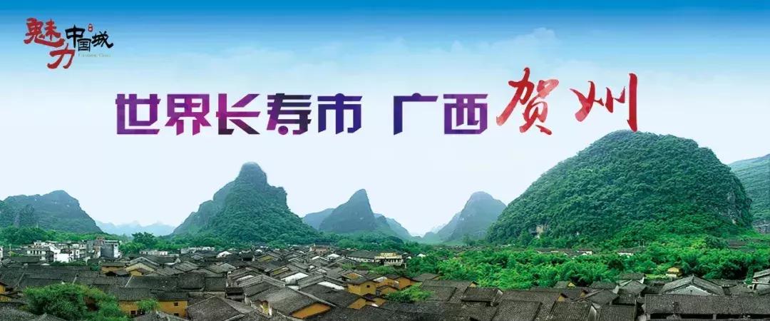 贺州停车区域划分,贺州多层机械停车位