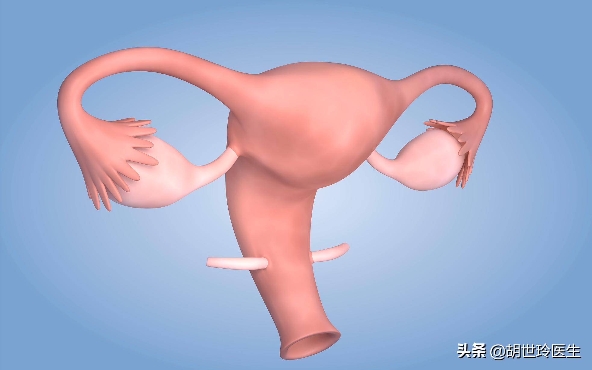 对试管的误解,对造影的常见认知误区有哪些