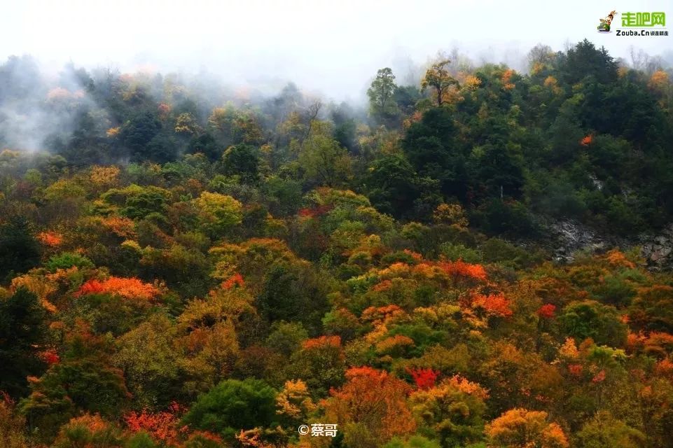 四川一条路途经全是石头的山,四川红叶一日游攻略
