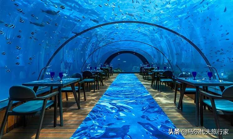 马尔代夫七日游梦幻度假体验,11月蜜月旅行马尔代夫