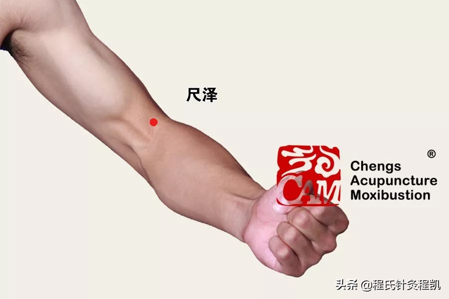 中医证型：脾胃湿热是怎么回事，该如何调理？