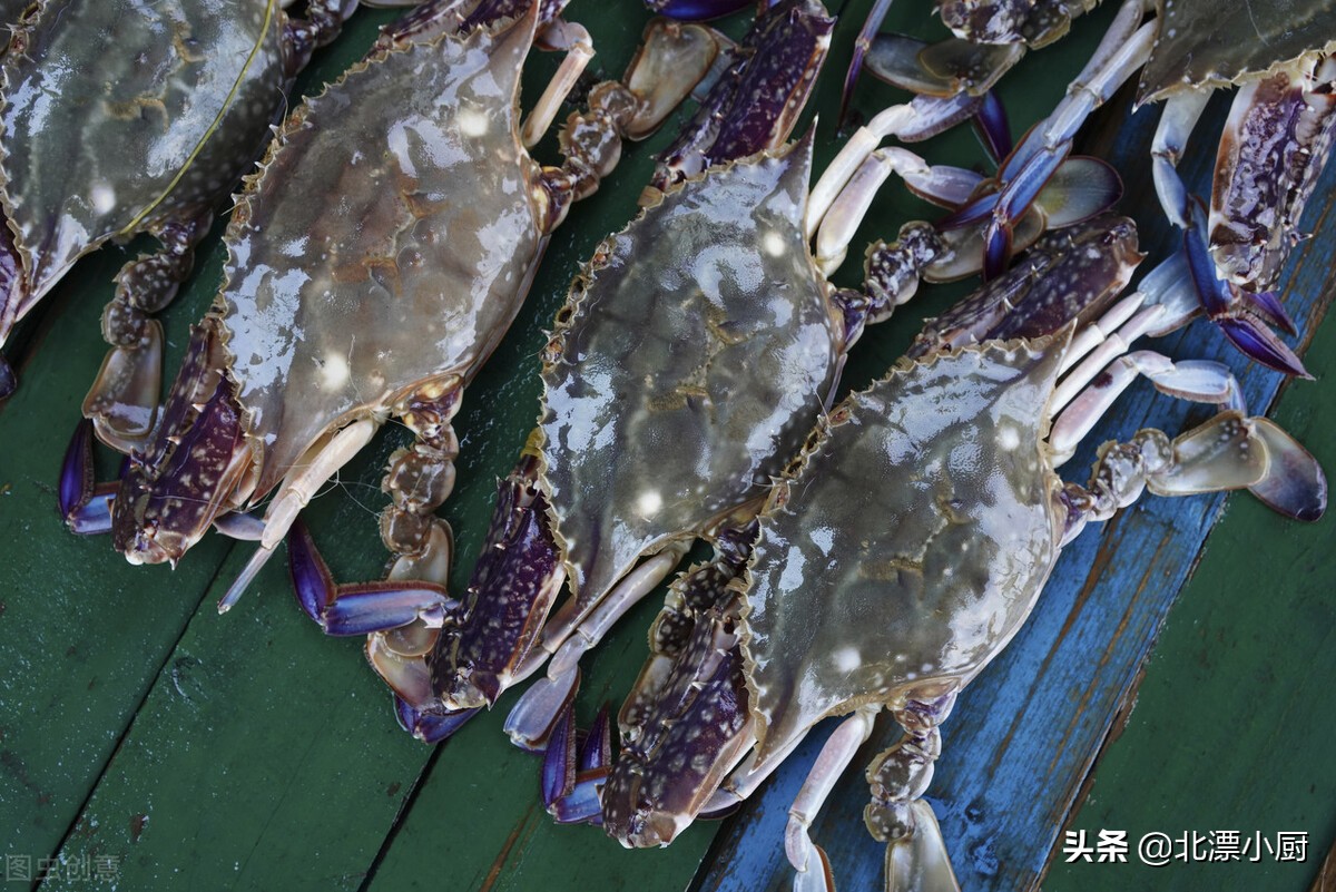 秋后的梭子蟹顶盖肥,梭子蟹顶盖肥好吗
