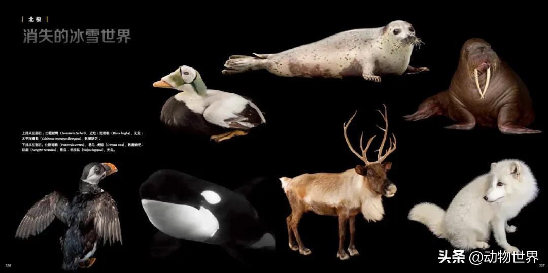 守护生物多样性,请继续保持我们的生物多样性