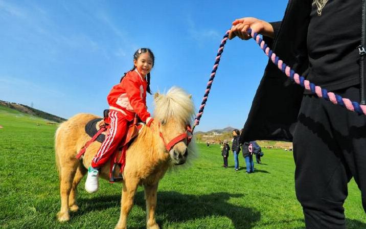 避暑亲子旅游推荐5天游,暑期草原亲子游攻略