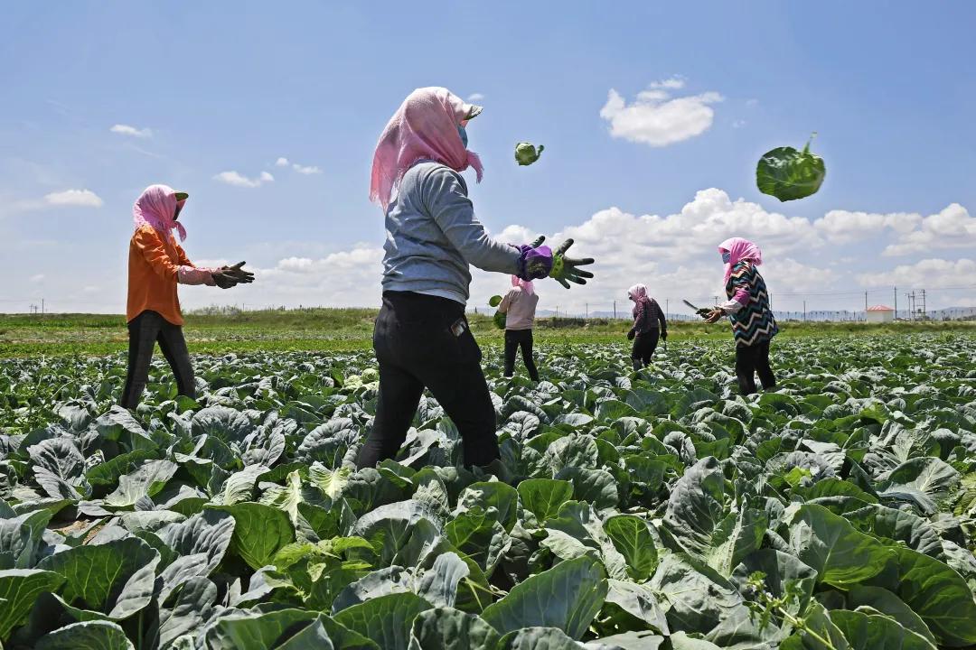 彪炳史册的脱贫攻坚疫情防控,伟大壮举中国脱贫攻坚成就展视频