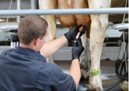 peter鍗氬＋鑲插効璇惧爞,鑻卞浗peter