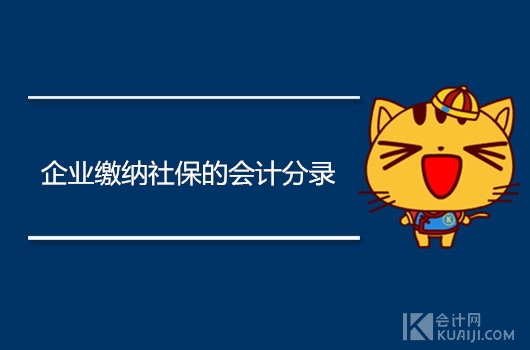 缴纳社保个人所得税会计分录,缴纳社保公积金会计分录