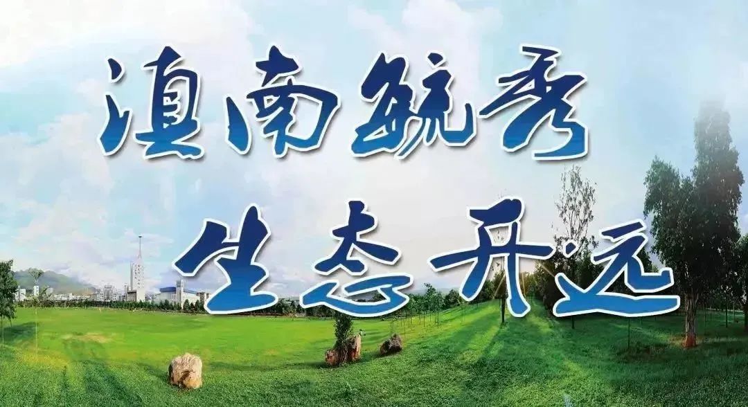 2020到2021中国城市少儿足球联赛,中国足球基金会杯赛程