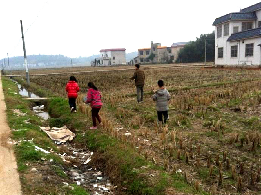 乡愁里的泥鳅，挖黄鳅和吃泥鳅的乐趣，都成为永远的美好记忆了