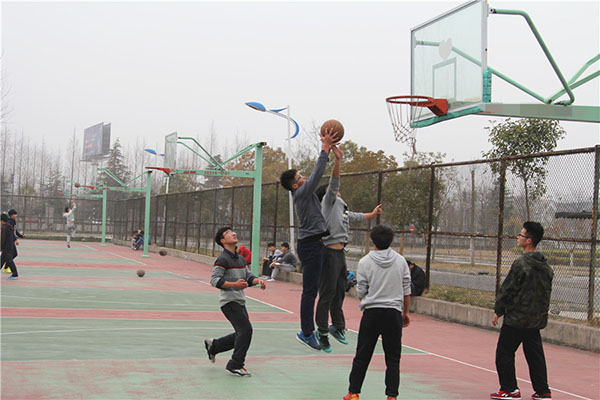 头孢和阿莫西林有哪些区别,头孢跟阿莫西林区别在哪