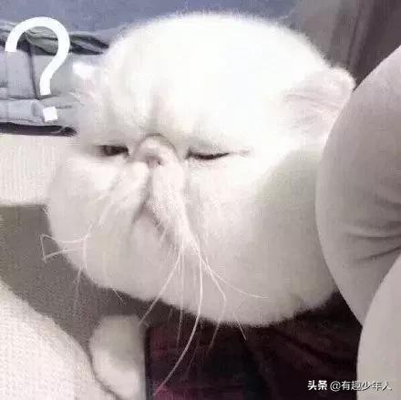 广东话谐音梗,带口音的谐音梗