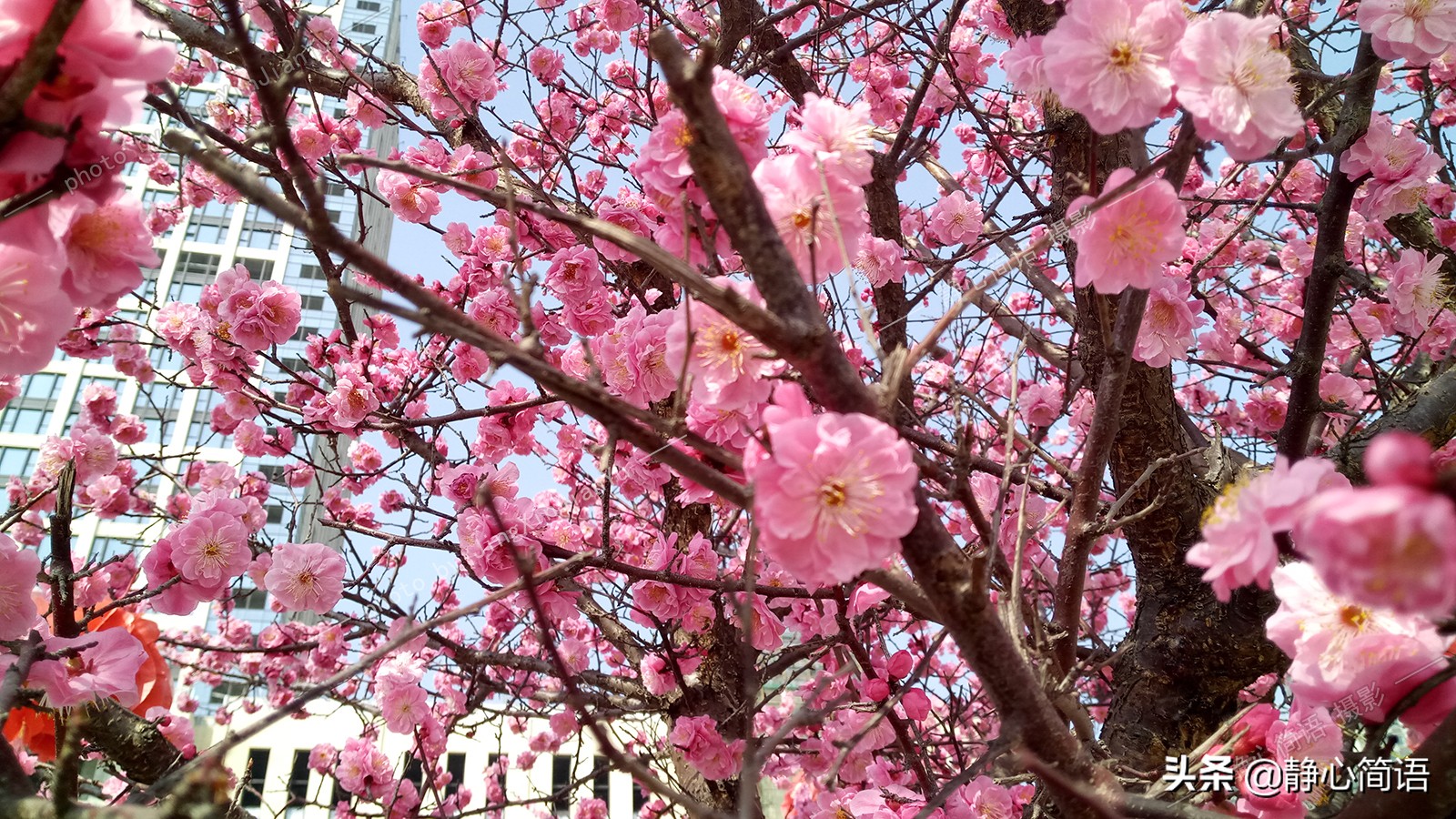 漫步三月春暖花开,三月是春暖花开的时节