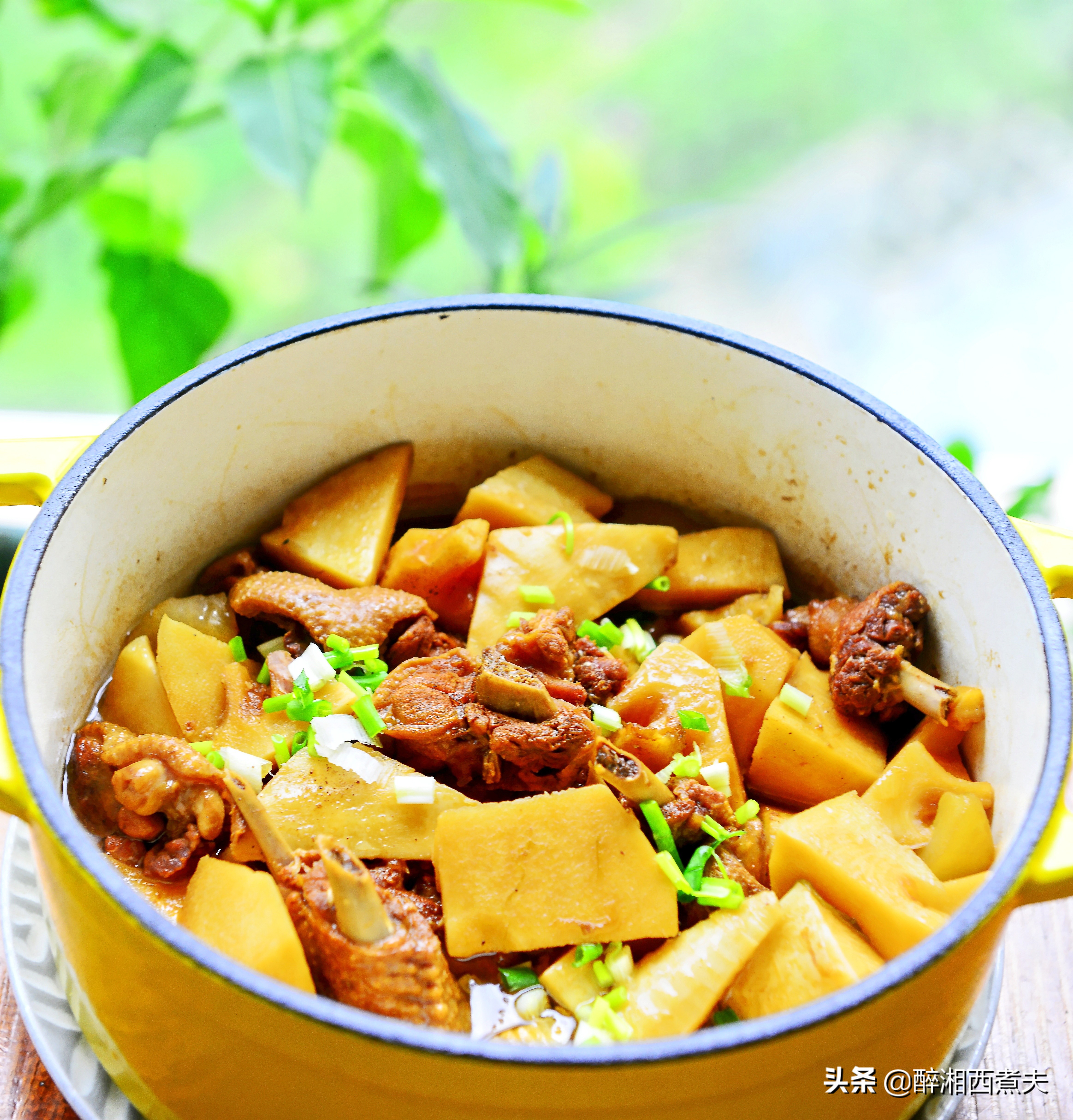 最好的南方竹笋,野生竹笋最好吃的季节