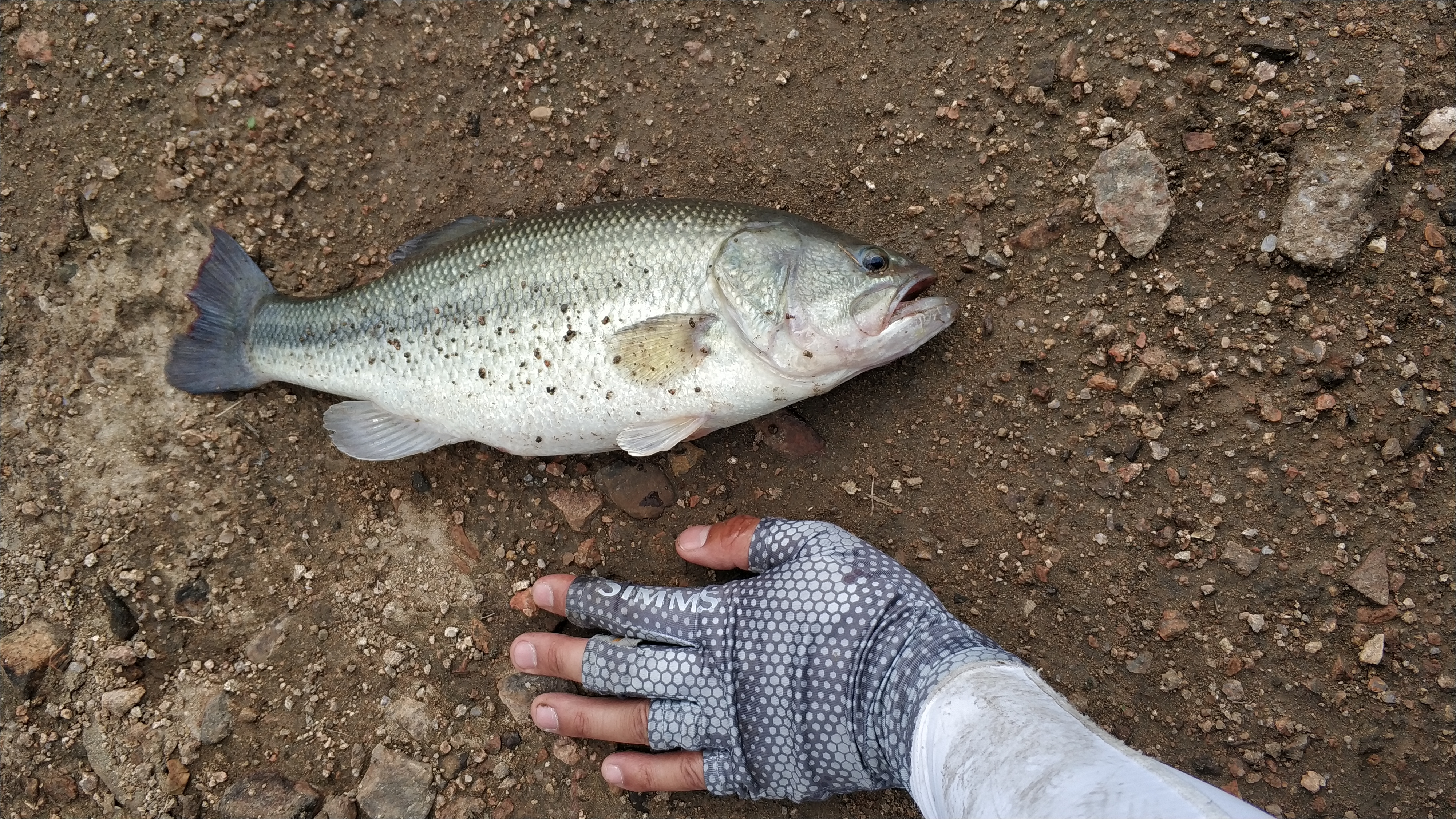 很惬意的路亚钓鱼,房车路亚野钓