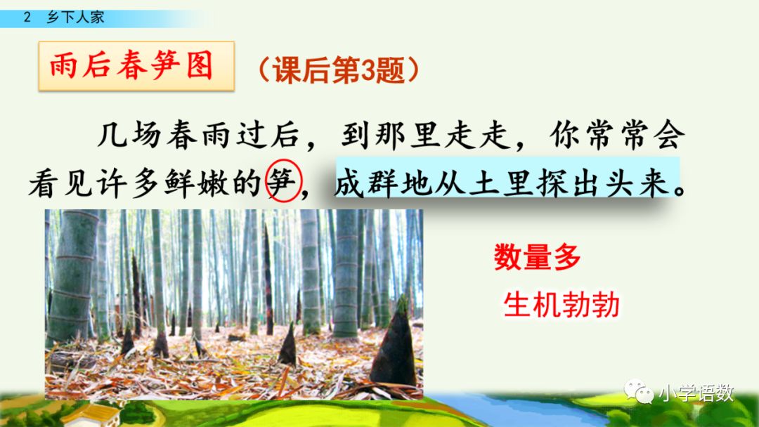 四年级下册乡下人家小练笔350字,四年级语文下册繁星精讲教学视频