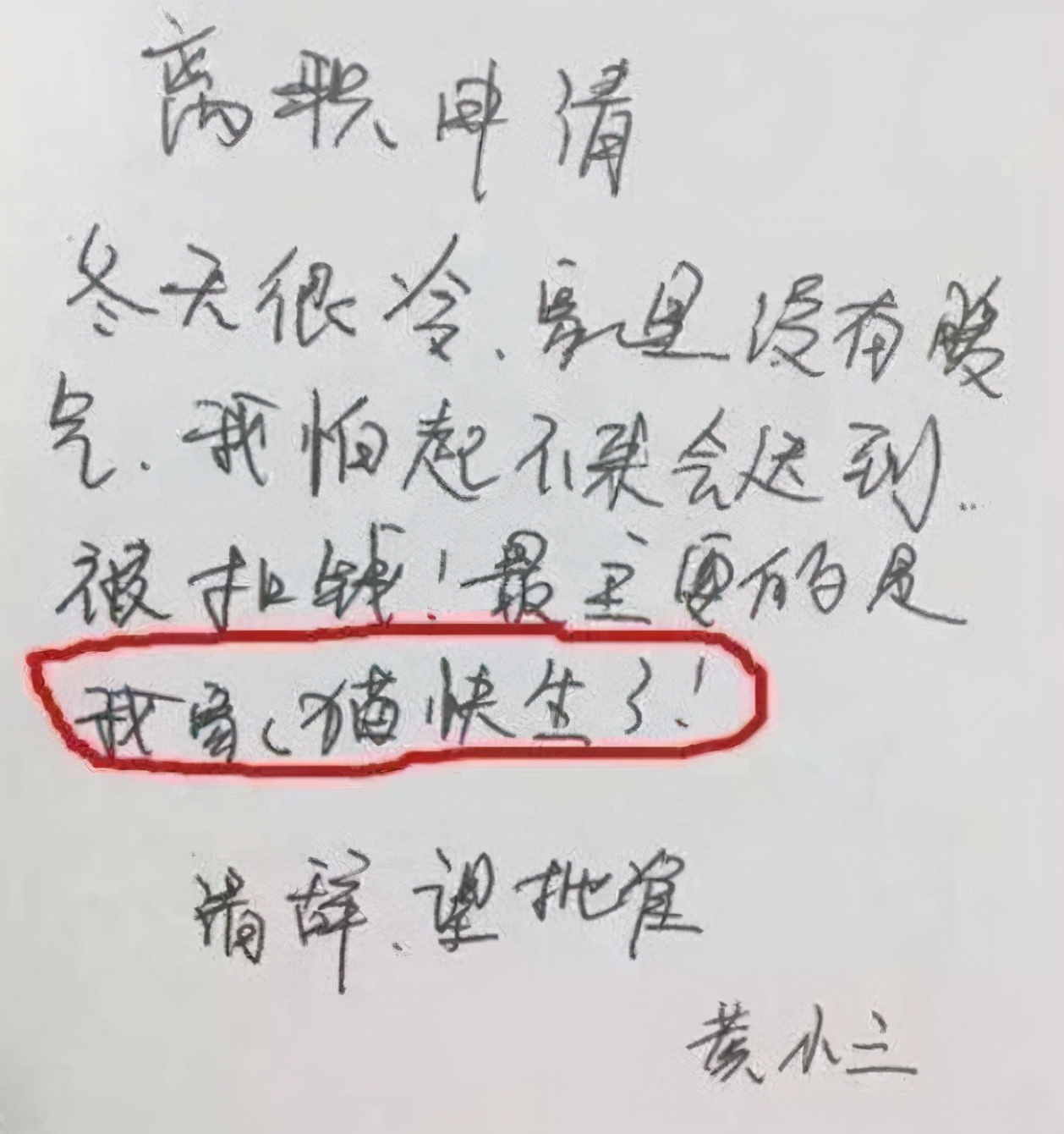 毕业生的“辞职信”有多任性，控诉老板不算啥，继承家业是真的？