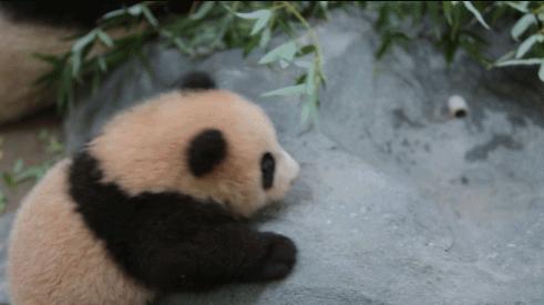 黑眼圈不一定是熬夜导致的,黑眼圈不一定是因为熬夜教你几招