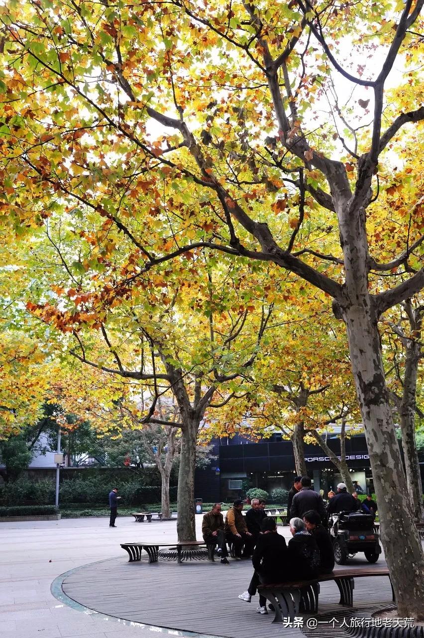 这才是12月最值得去的旅行地,11月12月去哪里旅游最美