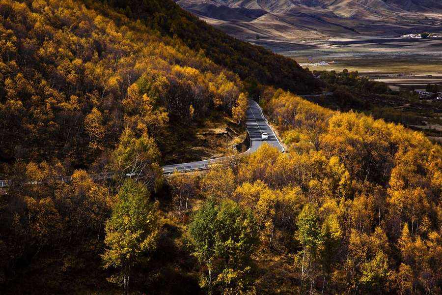 柏杨案,李敖谈柏杨