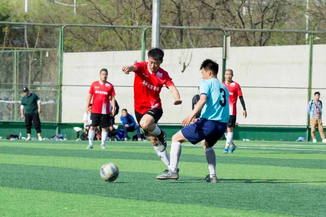 足球老将的故事简介,足球少年的故事