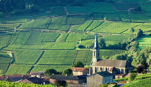 法国勃艮第美食美酒大盘点—你也会选，你也会做！