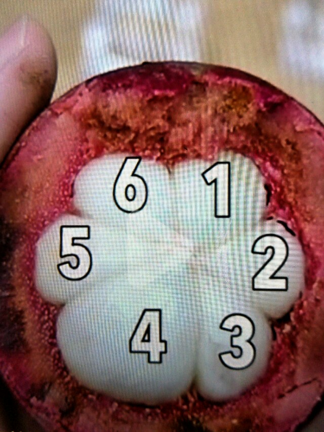 这样子挑山竹，老板娘会被气死，重点都在这里赶紧来看