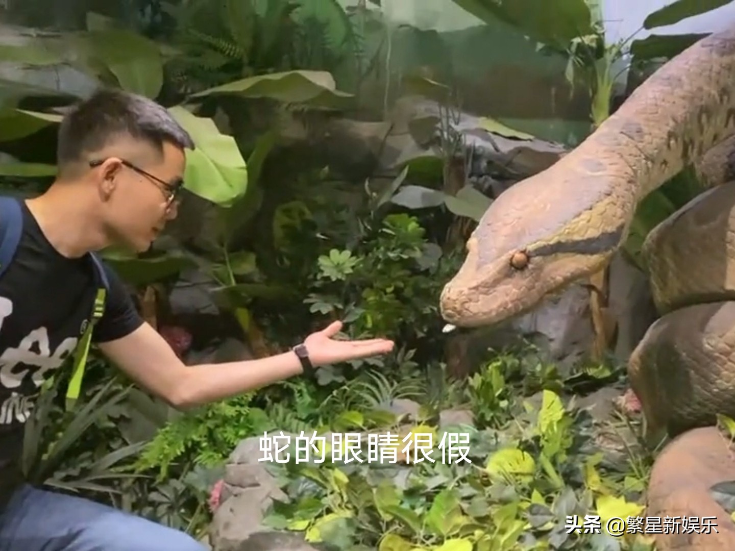 广州长隆假蛇,长隆动物园和蛇互动