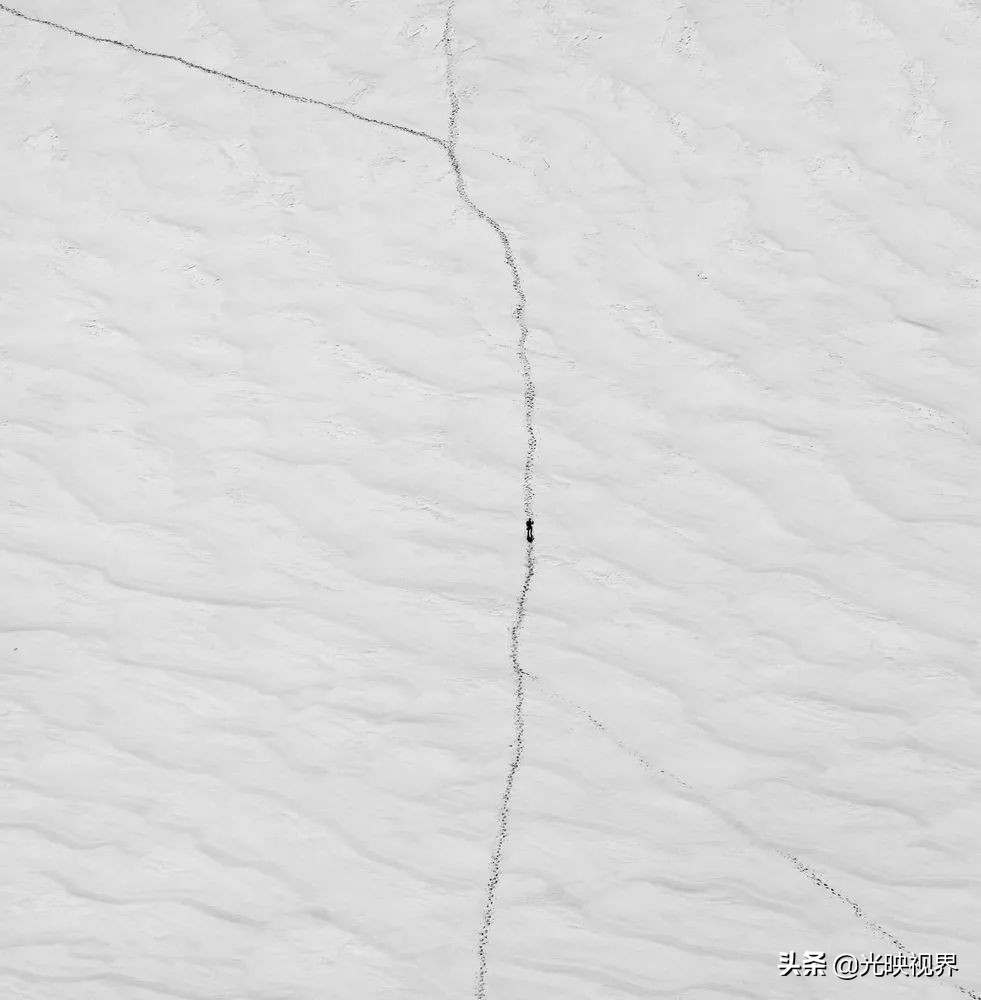 2022年度的ipa摄影大赛获奖作品,2020ippa摄影大赛奖项公布