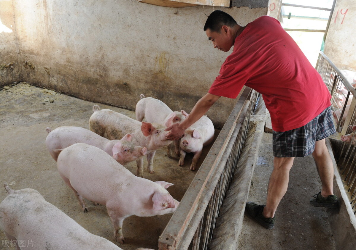 农民收入低除了种地还有什么出路,未来农村种地的出路