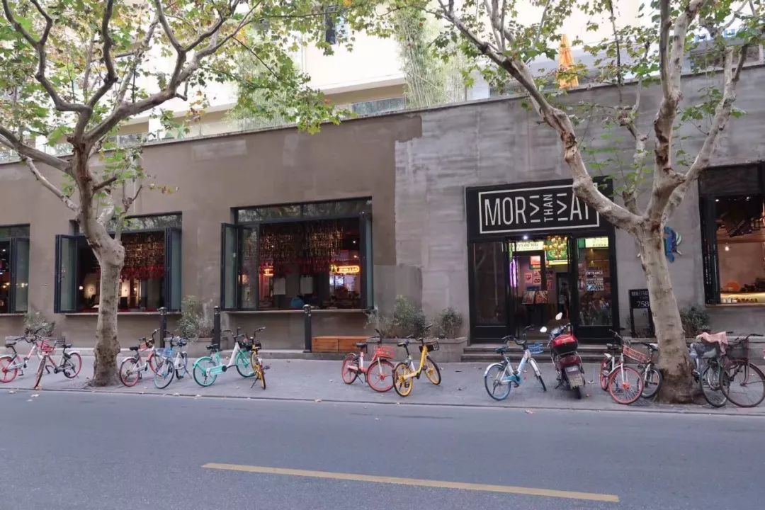 魔都网红马路视频,魔都值得散步的马路