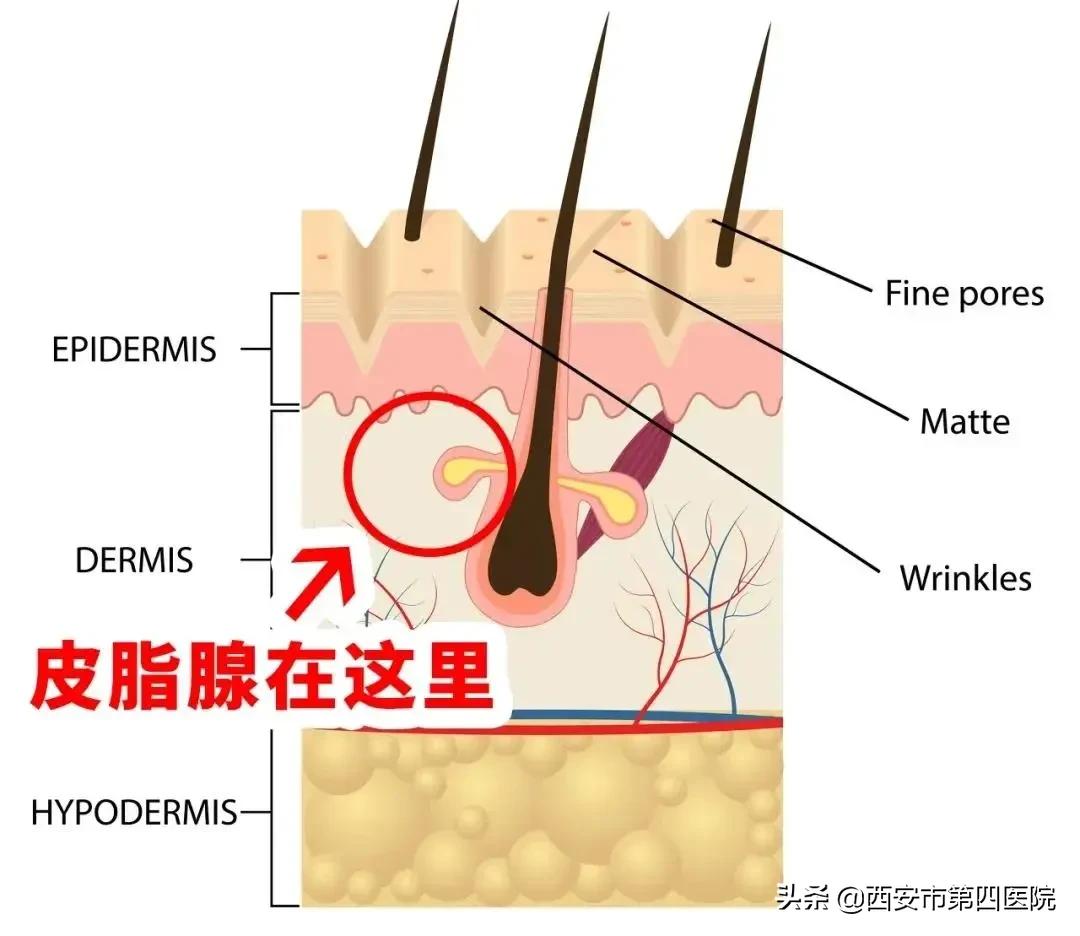 健康中国有哪些举措,健康中国行动攻略