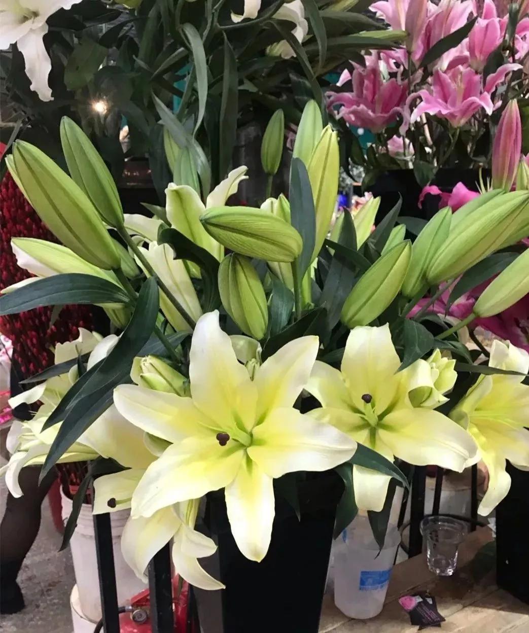 丰台四大花市在哪里,北京丰台值得逛一逛